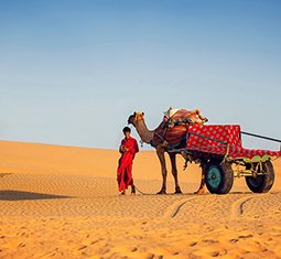 Ranakpur-jain-temple